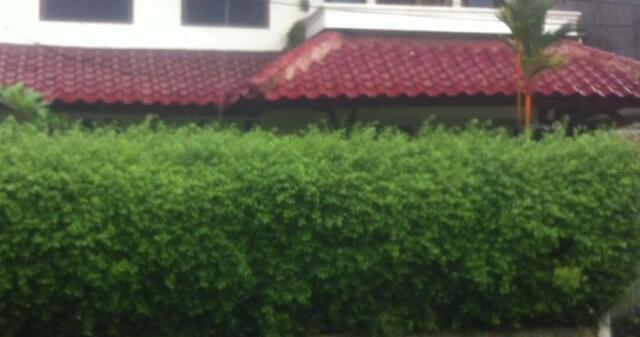 Disewa Lokasi di Jalan Bendi Raya Bisa untuk usaha